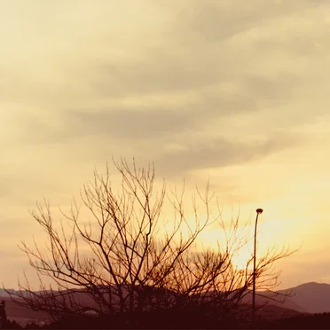 slow down/twilight