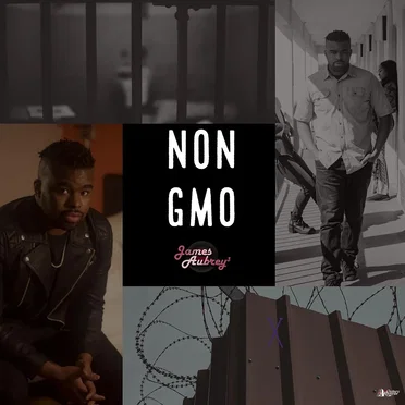 NON GMO by James Aubrey 3 - album cover