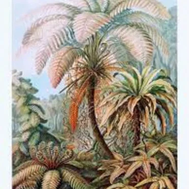 2023-01-26: Loafer's Glory / A Hobo Jungle Of The Mind, “Palm Trees and Polotics” by Utah Phillips - album cover