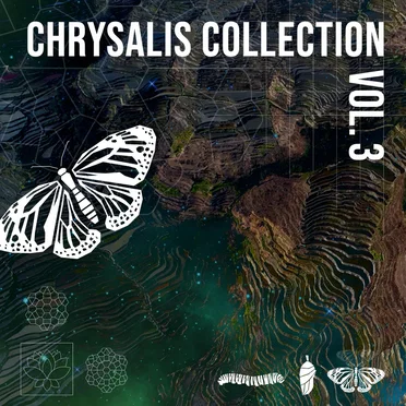 Chrysalis Collection Vol. 3 by Various Artists - album cover