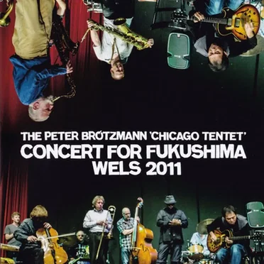 Concert for Fukushima Wels 2011