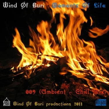 Moments of Life 009 (Ambient - Chill mix) by Various Artists - album cover