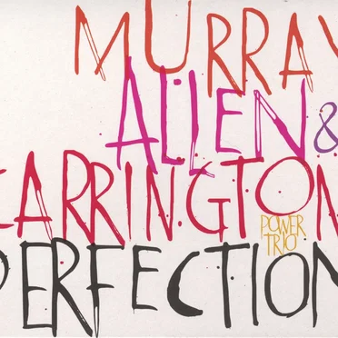 Perfection by Murray, Allen & Carrington Power Trio - album cover