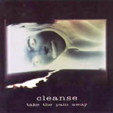 Take the Pain Away by Cleanse - album cover
