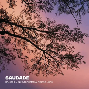 Saudade