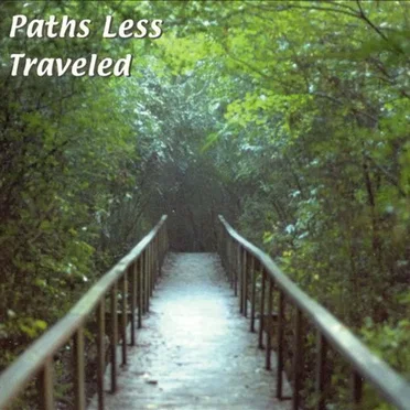 Paths Less Traveled by Various Artists - album cover
