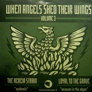 When Angels Shed Their Wings Volume 3