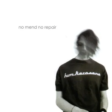 No Mend No Repair