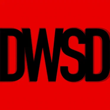 DWSD by sheidA - album cover