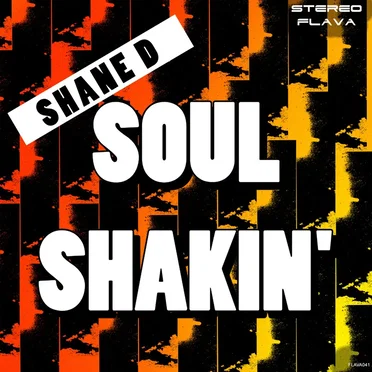 Soul Shakin by Shane D - album cover
