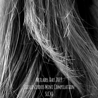 Netlabel Day 2019 Mini Compilation by Various Artists - album cover