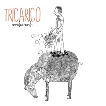 Invulnerabile by Tricarico - album cover