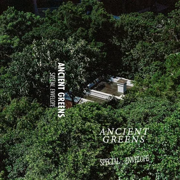 Special Envelope by Ancient Greens - album cover