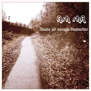State of Cosmic Factories by Ash shA - album cover