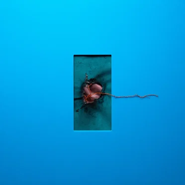 It’s Just a Feeling by Modern Error - album cover
