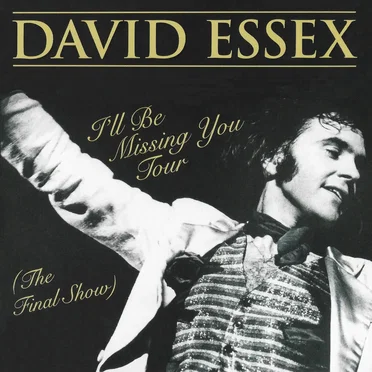 I’ll Be Missing You Tour (The Final Show)