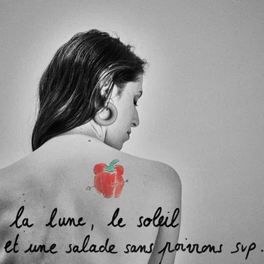 La lune, le soleil et une salade sans poivrons svp (Live Acoustique)