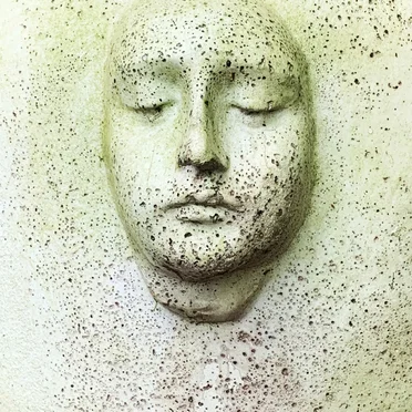 If Tears Had a Voice