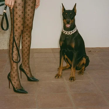 I Like What You Like