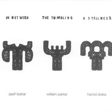 In Between the Tumbling a Stillness