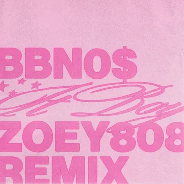 it boy (Zoey808 remix)