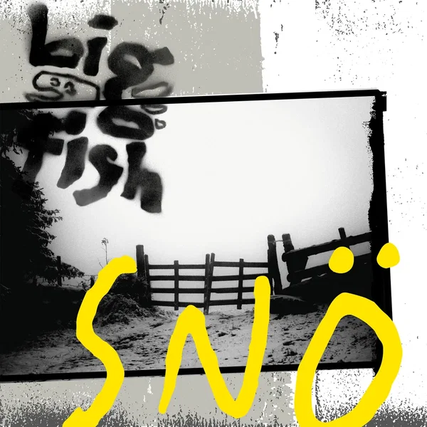 Snö