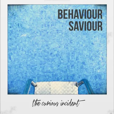 Behaviour Saviour by The Curious Incident - album cover