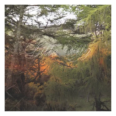 Songs by Ditte Elly - album cover
