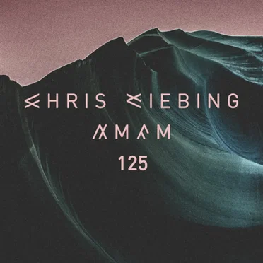 AM/FM 125 by Chris Liebing - album cover