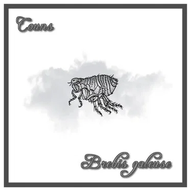 BREBIS GALEUSE by COUN$ - album cover