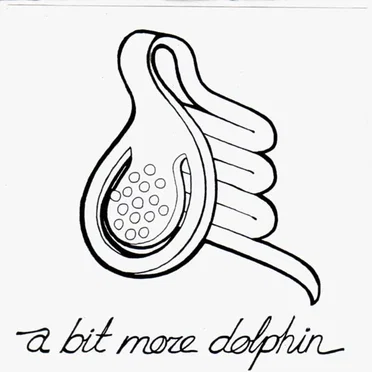 A Bit More Dolphin