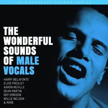 The Wonderful Sounds of Male Vocals by Various Artists - album cover