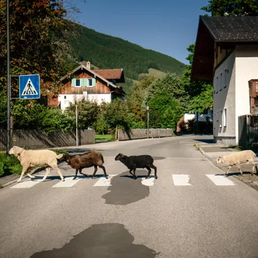 I mecht an Landla hean