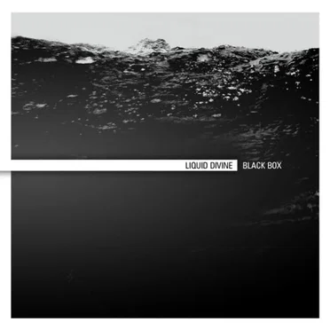 Black Box