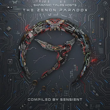 The Zenon Paradox by Various Artists - album cover