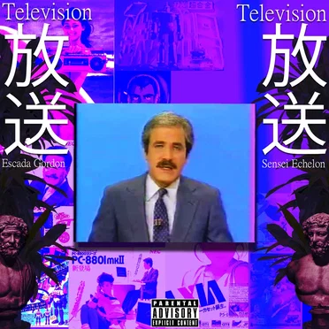 Sensei Echelon