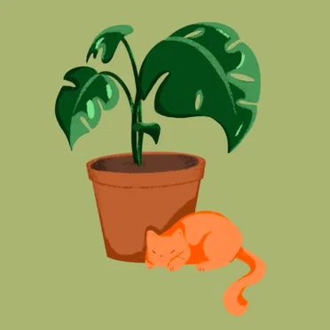 plants and chill