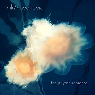 Nik Novakovic