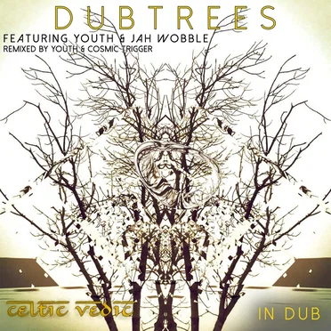 Celtic Vedic In Dub by Dub Trees - album cover
