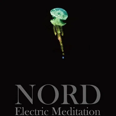 Electric Meditation: Live Materials 2015–2017