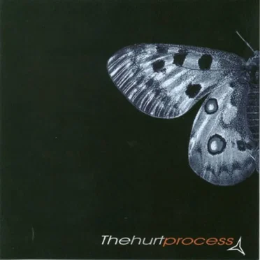 The Last Goodbye by The Hurt Process - album cover