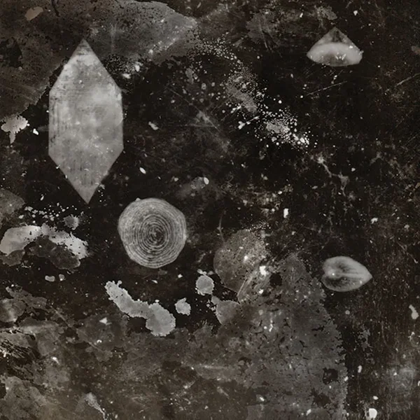 Hanam Quintet feat. Tristan Honsinger