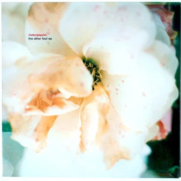 The Other Fool EP