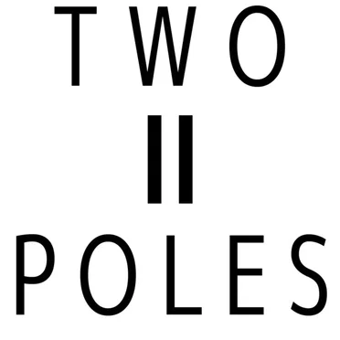 I Have an Announcement to Make. So Shut Up Everyone by Two||Poles - album cover