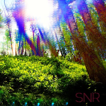 The Demo by S.N.R (Soul Natural Remedy) - album cover