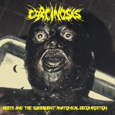Death and the Subsequent Anatomical Decomposition