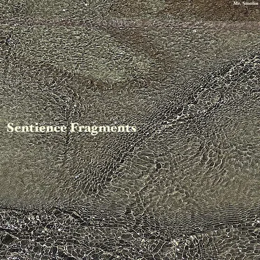 Sentience Fragments by Mr. Smolin - album cover