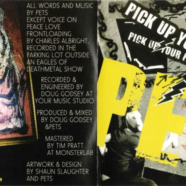 Pick Up Your Feet by Pets - album cover