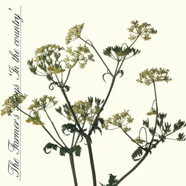 In the Country by The Farmer's Boys - album cover