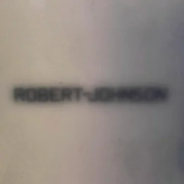 Live at Robert Johnson: Tiga